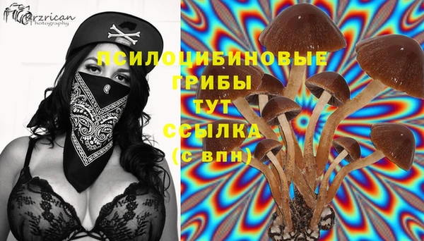 таблы Алексин